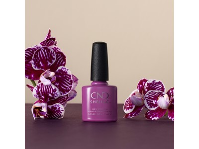 Orchid Canopy Shellac #407