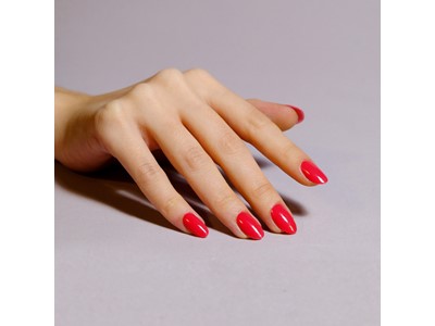 Outrage-Yes Shellac # 447* STT0423