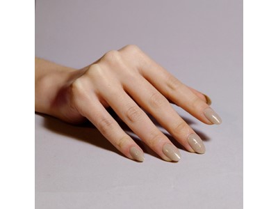 Off The Wall Shellac # 448* STT0423
