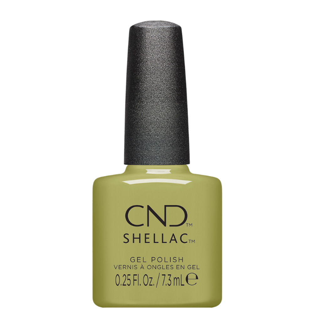 Plantbound, Shellac 