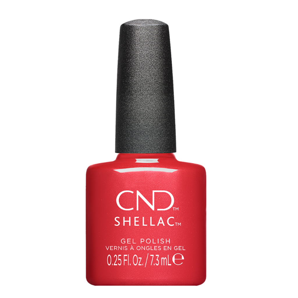 Dragon Slay All Day, Shellac