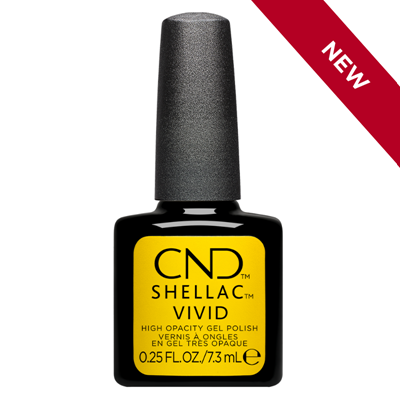 Yellow Taxi, Shellac 