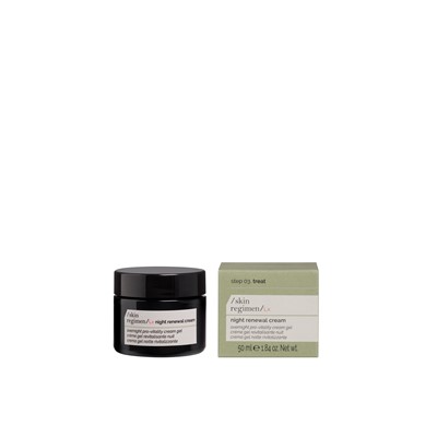 Skin Regimen LX Night Renewal Cream