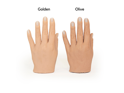 Hand Model, Olive
